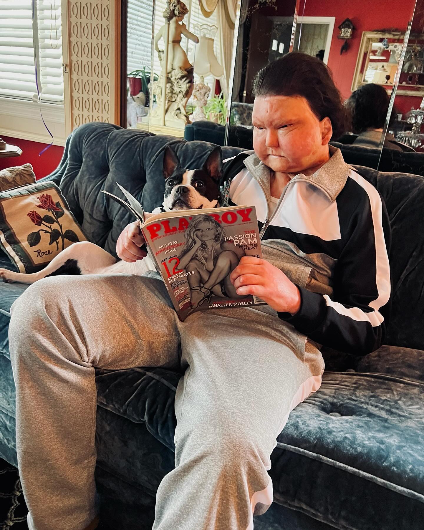 Joe DiMeo Net Worth, Age, Wife, Career & Family 2026