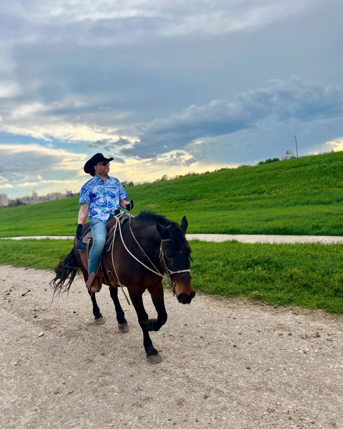 Joe DiMeo Net Worth, Age, Wife, Career & Family 2026
