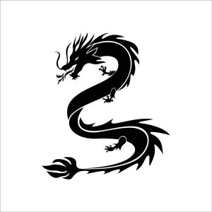 Symmetrical Mythical Cool Dragon Silhouette With Custom Name