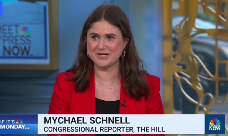 Mychael Schnell Wikipedia: Bio, Career & Latest Updates