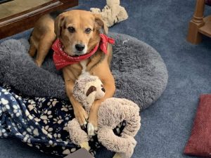 Jeanne Burd: Everything You Need to Know About Her