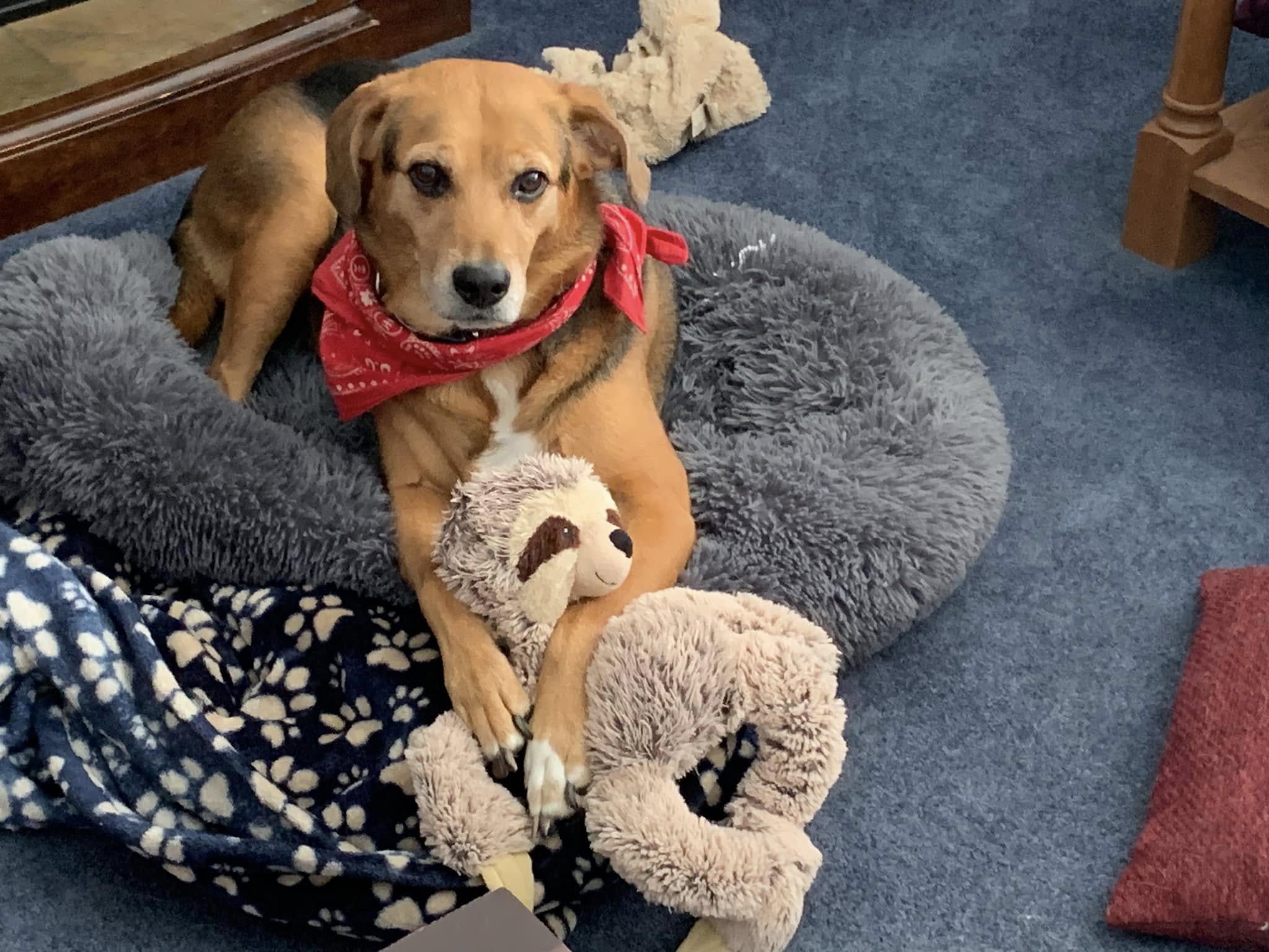 Jeanne Burd: Everything You Need to Know About Her