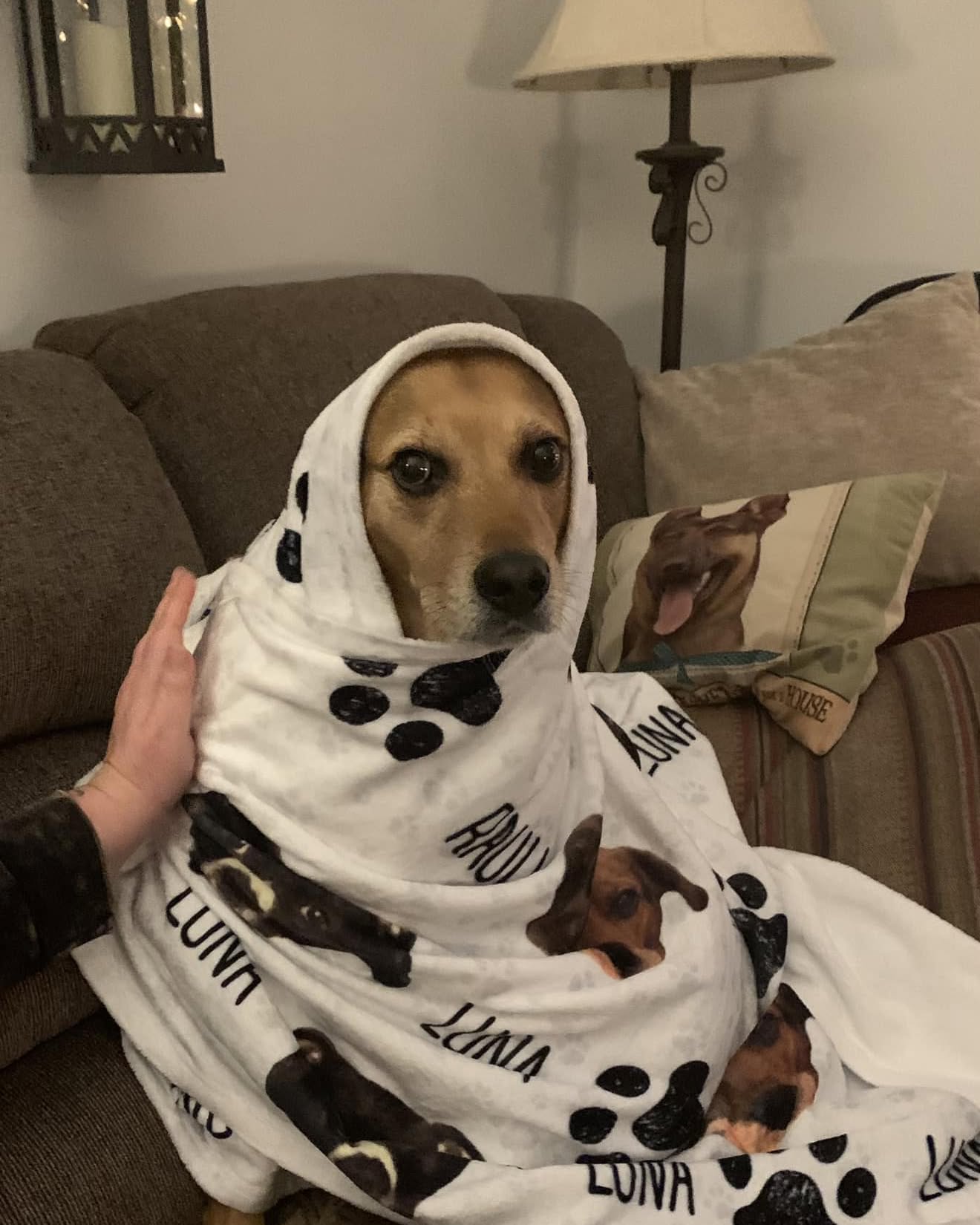 Jeanne Burd: Everything You Need to Know About Her