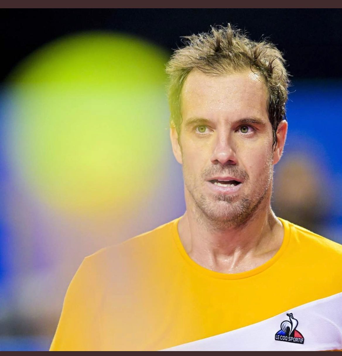 Richard Gasquet Wife