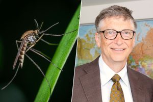 Bill Gates Mosquito Stunt Explained: What Really Happened?