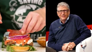 Bill Gates Fake Meat Investments: What You Need to Know
