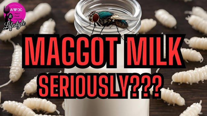 Bill Gates Maggot Milk – What You Need to Know About It