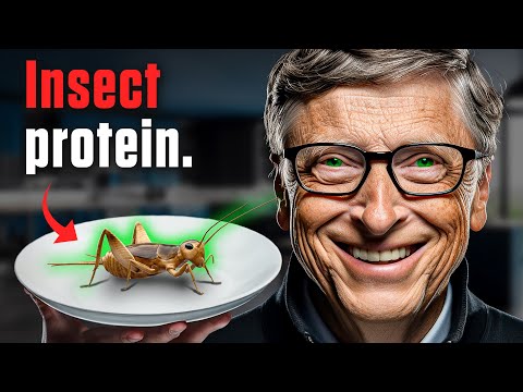 All Things Bugs Bill Gates – Why He’s Investing in Insects