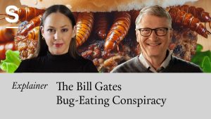 All Things Bugs Bill Gates – Why He’s Investing in Insects