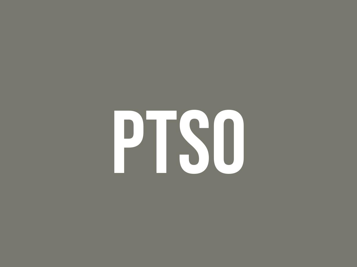 What Does PTSO Mean? TikTok Slang & Facebook - Definition