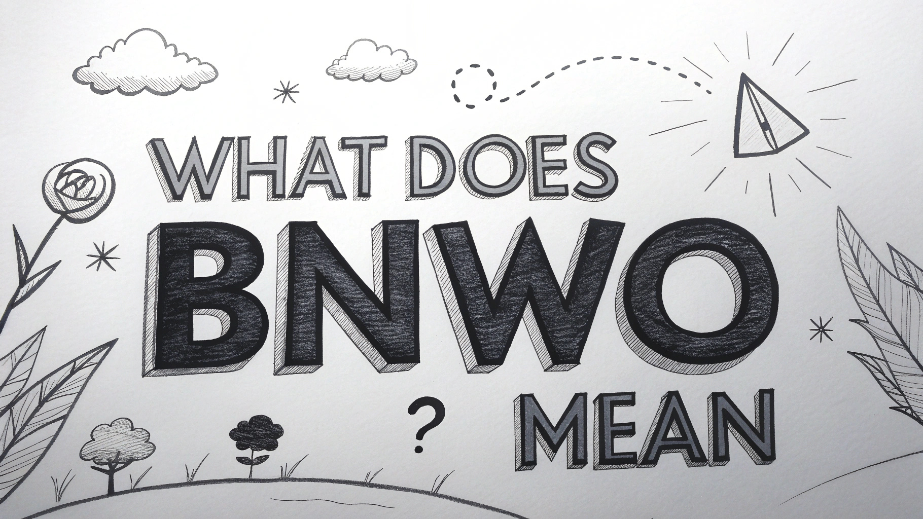 What Does BNWO Mean