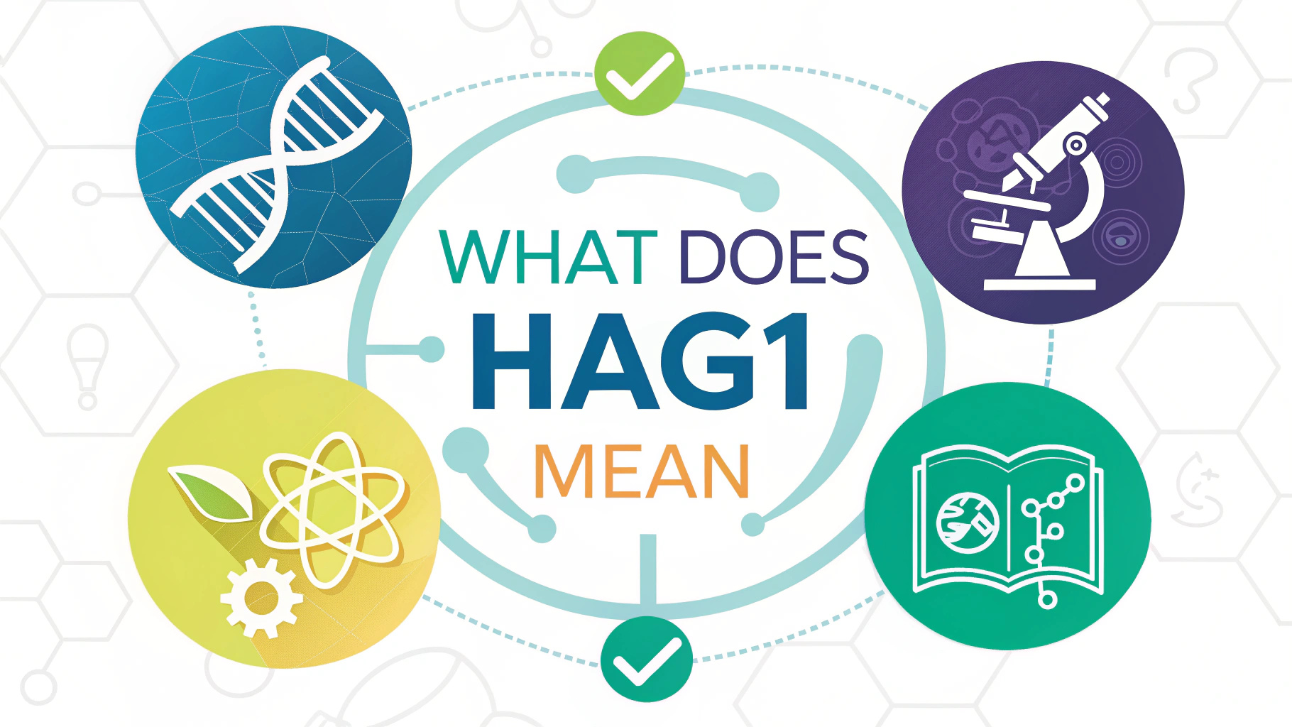 What Does HAG1 Mean