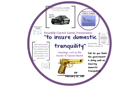 What Does Insure Domestic Tranquility Mean