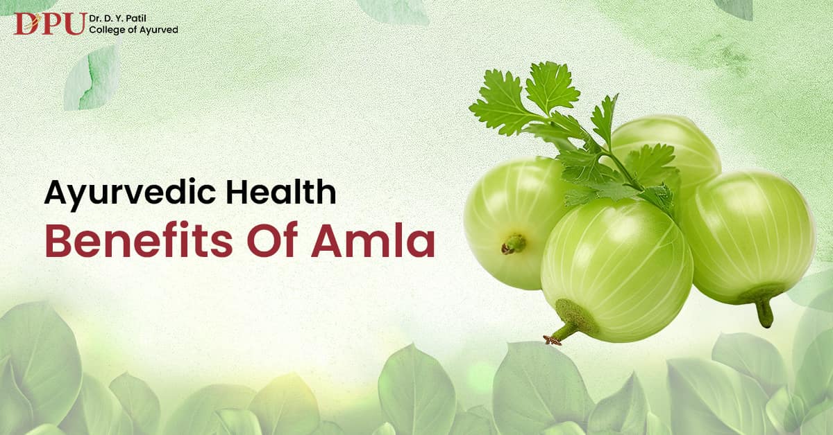 What are the Benefits of Using Amla Juice as per Ayurveda?