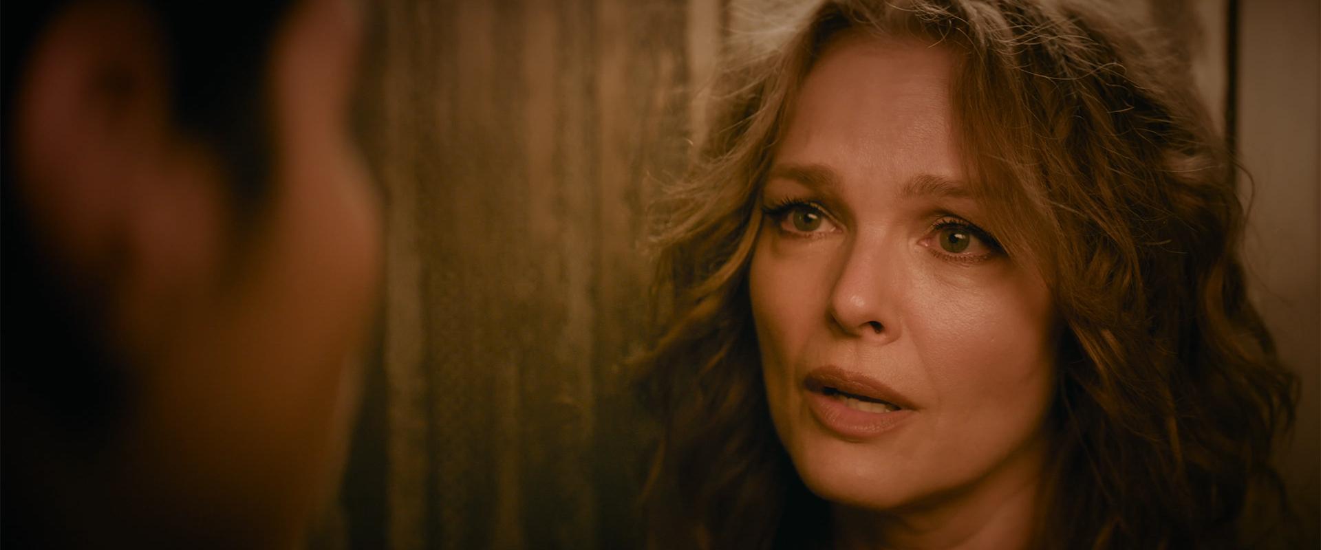 Dina Meyer Marital Status: Celebrating a Life of Passionate Independence and Enduring Grace