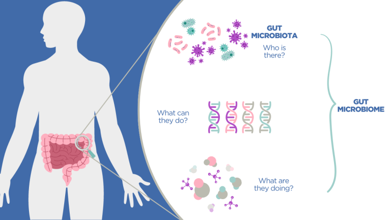 Microbiome Testing Explained: What Your Gut Bacteria Say About You ...