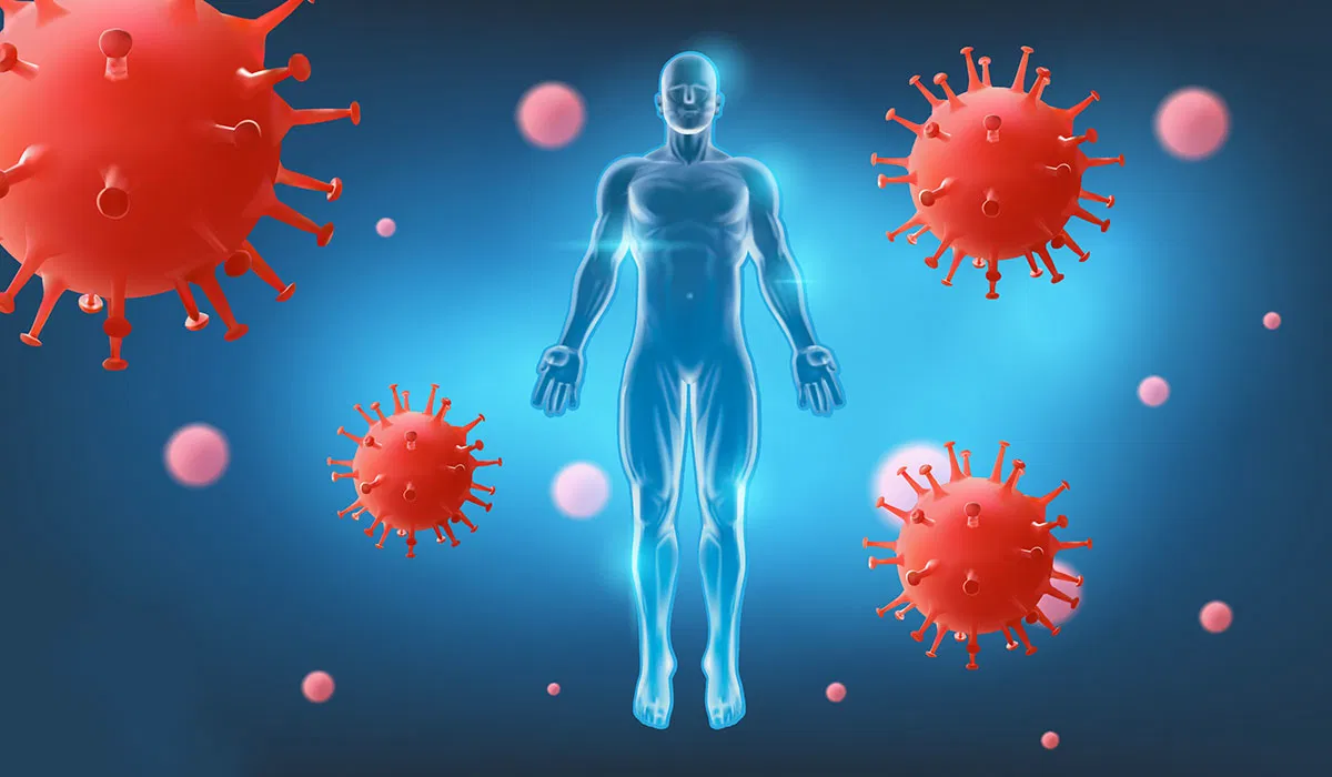 Immune intelligence: lifestyle and hormonal factors that support a strong defense system