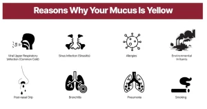 Why Is My Mucus Yellow? Cold, Infection or More? 2026