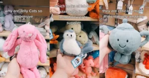 Why Are Jellycats So Expensive? Worth It or Not? 2026