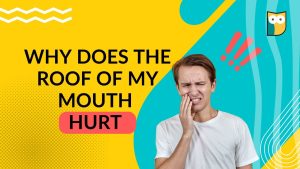 Why Does the Roof of My Mouth Hurt? Common Reasons 2026