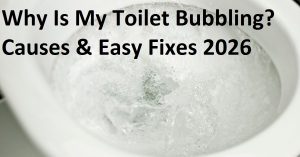 Why Is My Toilet Bubbling? Causes & Easy Fixes 2026