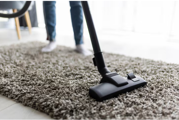 The Importance of Professional Office Carpet Cleaning