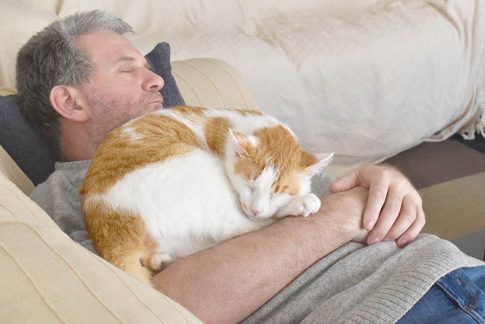 Why Does My Cat Sleep on My Chest? What It Means 2026