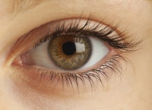 Why Do We Have Eyelashes? What They Protect 2026