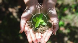 Why Are Natural Resources Important? Key Reasons 2026