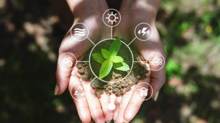Why Are Natural Resources Important? Key Reasons 2026