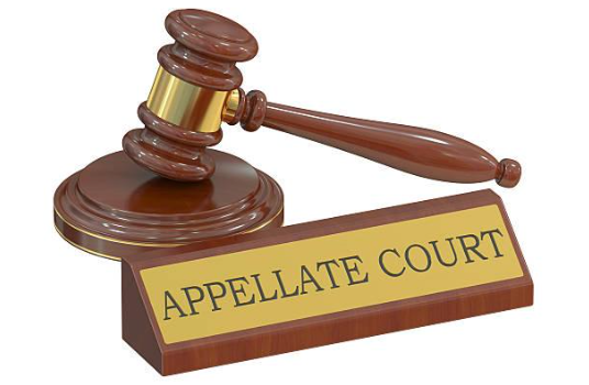The Real Timeline Behind Texas Appellate Cases