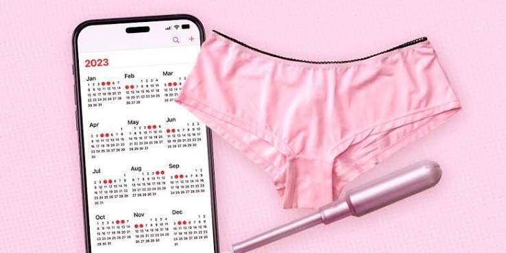 Why Has My Period Lasted 2 Weeks? Causes, Risks & When to See a Doctor 2026
