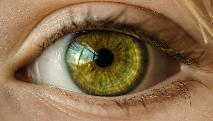 Why Do My Eyes Change Color From Blue to Green? 2026