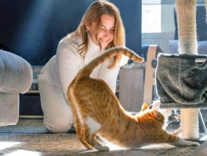 Why Does My Cat Stretch When She Sees Me? Full Guide 2026